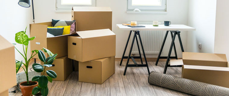 Professional Moving Services